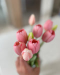The Tulip wrap
